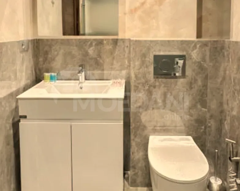 Сдам 3-комн. квартиру на сутки в Тбилиси  75м² 5/22 эт. Тбилиси - изображение 10