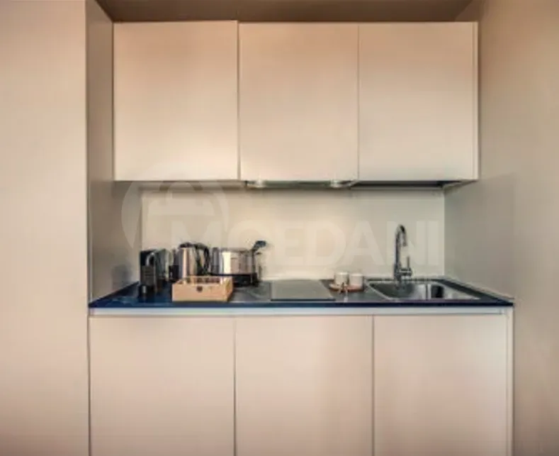 Short Term Rentals two-room 75m² 9/10 floor Tbilisi - photo 7