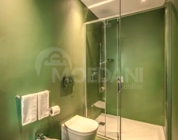 Short Term Rentals two-room 75m² 9/10 floor Tbilisi - photo 9