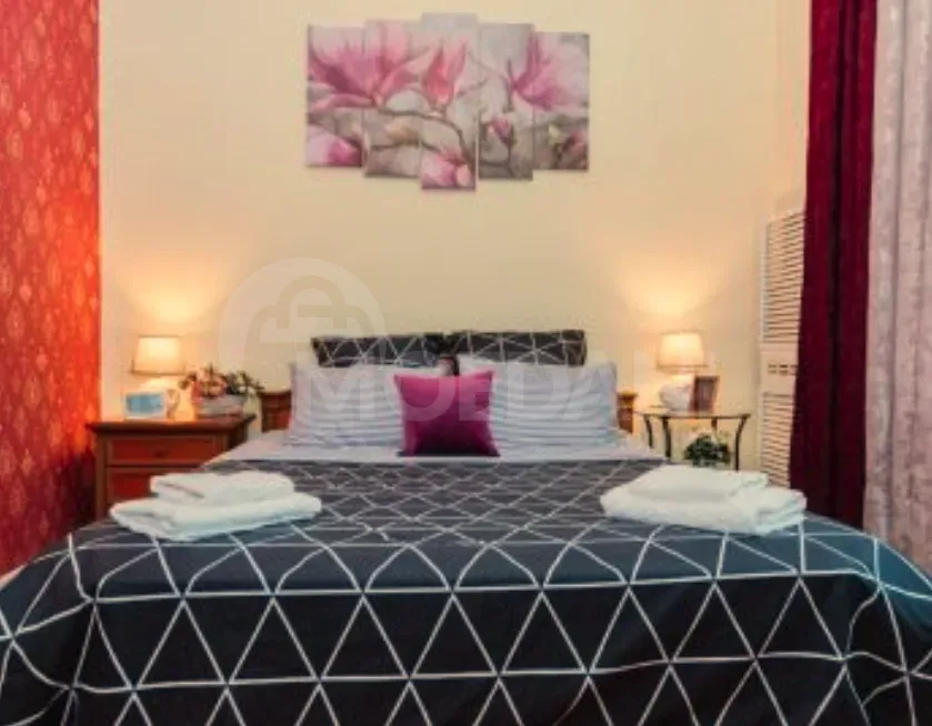 ქირავდება 2 ოთახიანი ბინა დღიურად თბილისში  60მ² 3/5 სართ თბილისი - photo 7