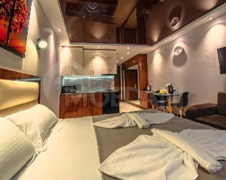 Сдам 1-комн. квартиру на сутки в Батуми  45м² 17/25 эт. Батуми - изображение 8