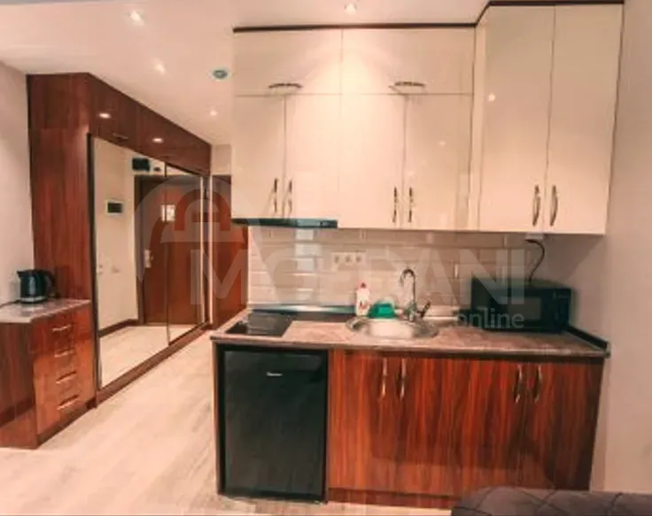 Сдам 1-комн. квартиру на сутки в Батуми  45м² 15/25 эт. Батуми - изображение 8