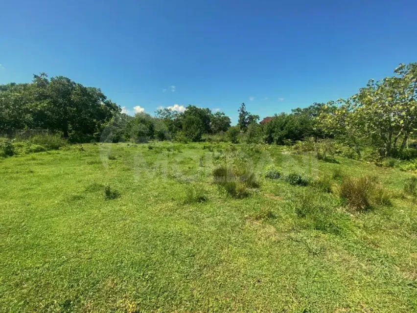 იყიდება მიწის ნაკვეთი 1101м² ქობულეთი - photo 1