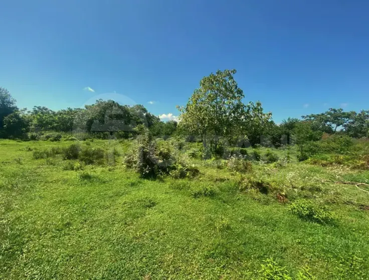 იყიდება მიწის ნაკვეთი 1101м² ქობულეთი - photo 4