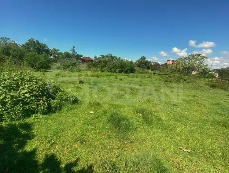 იყიდება მიწის ნაკვეთი 1101м² ქობულეთი - photo 3