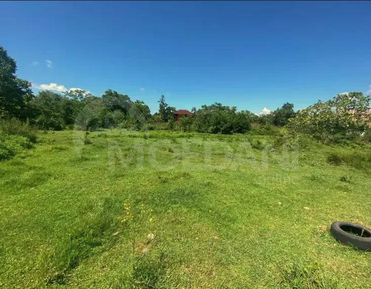 იყიდება მიწის ნაკვეთი 1101м² ქობულეთი - photo 2