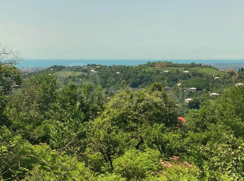 იყიდება მიწის ნაკვეთი 1000м² ქობულეთი - photo 1