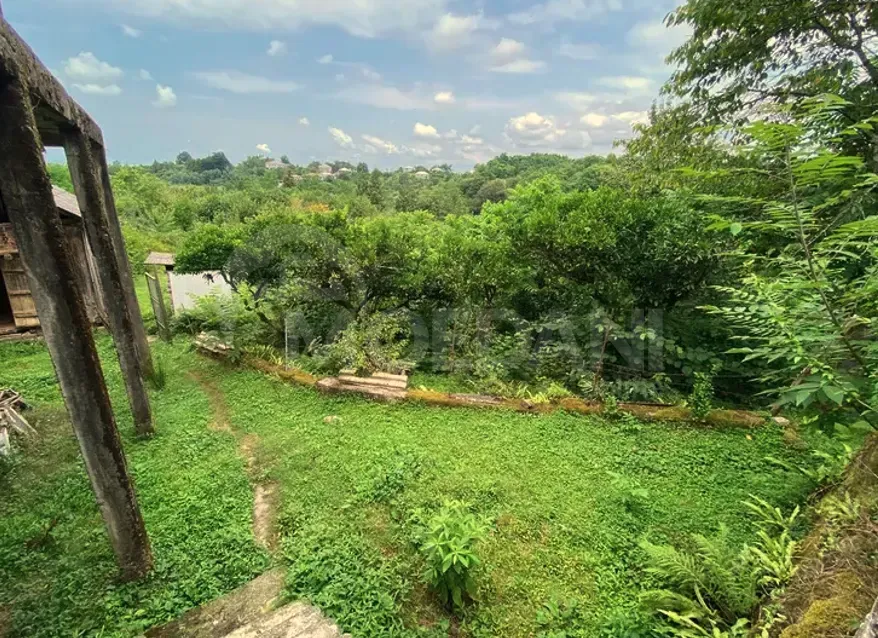 სახლი 5000м² ქობულეთი - photo 11