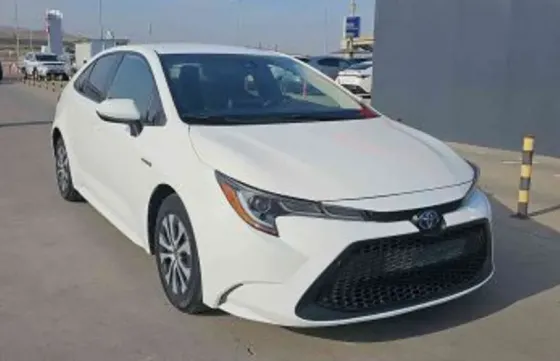 Toyota Corolla 2020 თბილისი