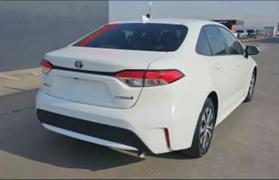 Toyota Corolla 2020 თბილისი