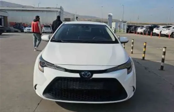 Toyota Corolla 2020 თბილისი