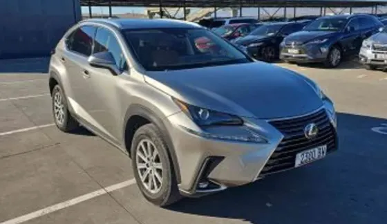 Lexus NX 2019 Тбилиси