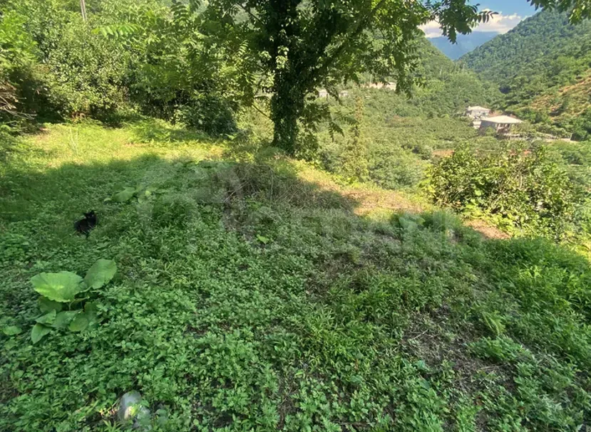 სახლი 1000м² ქობულეთი - photo 12