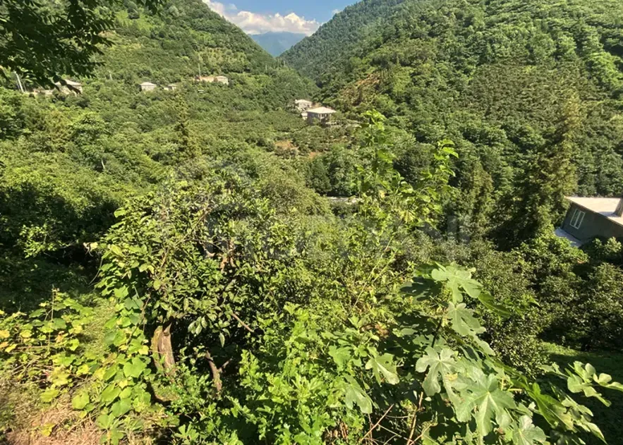 სახლი 1000м² ქობულეთი - photo 11