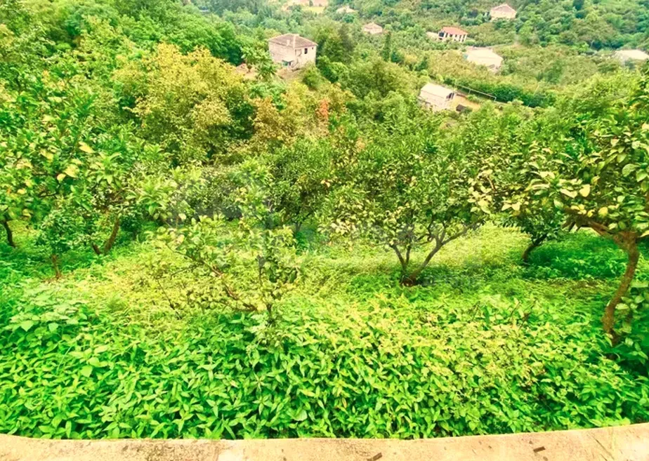 Продам Дом 360м² Кобулети - изображение 10