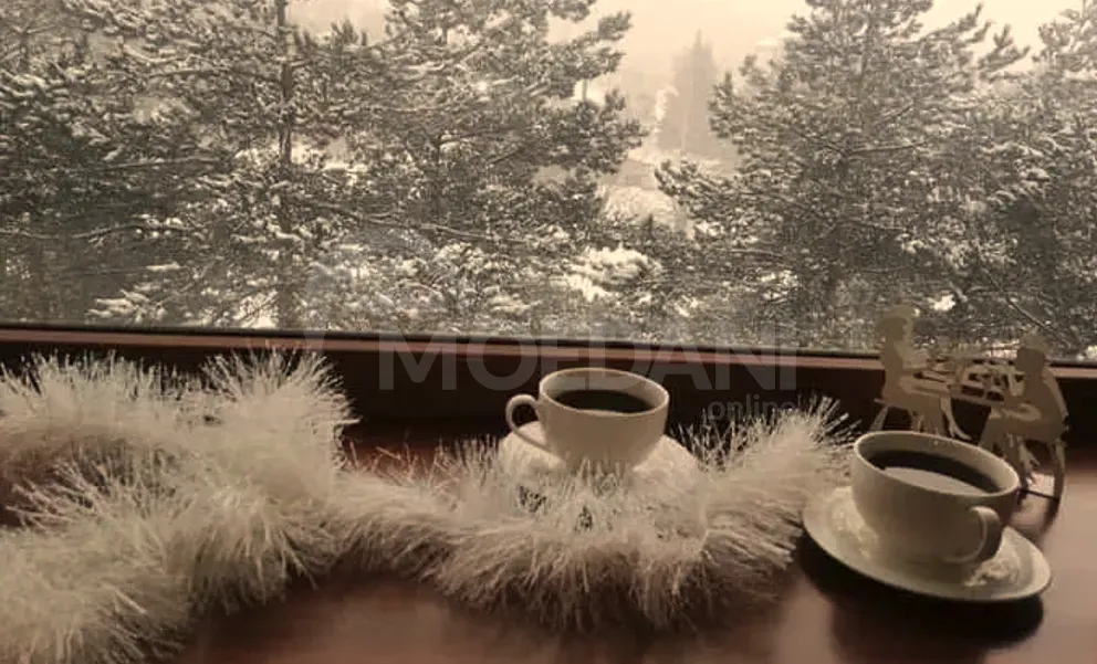 Short Term Rentals two-room 60m² 4/6 floor Rustavi - photo 7