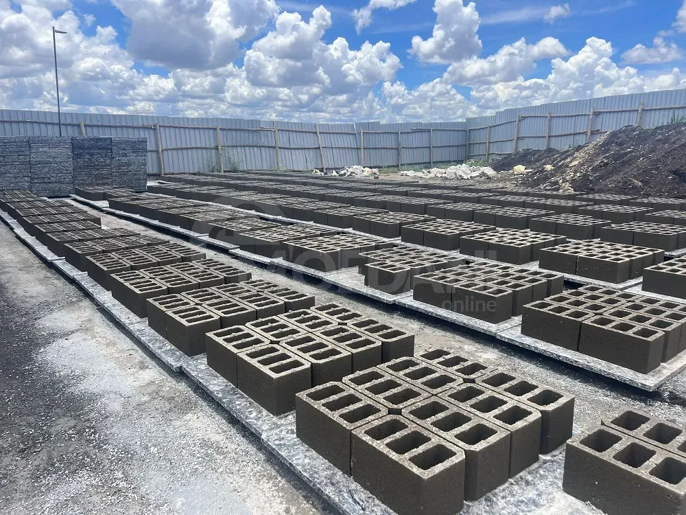 Смех Колоки Тбилиси - изображение 3