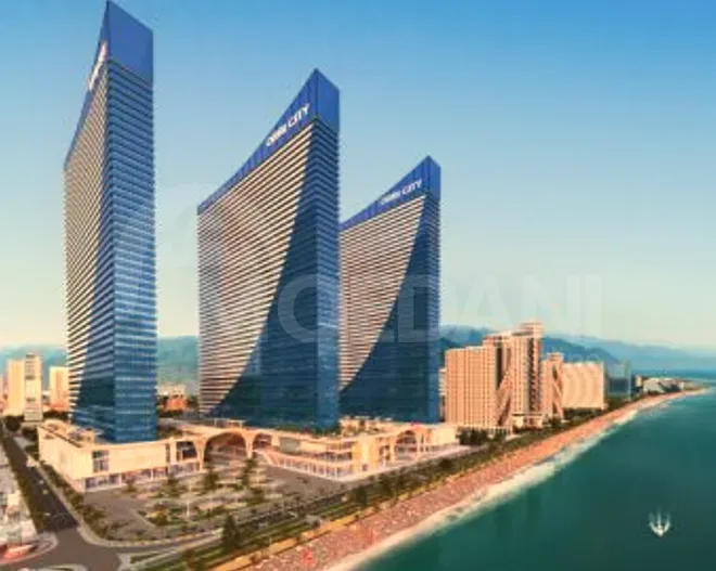 Сдам 3-комн. квартиру на сутки в Батуми  80м² 15/52 эт. Батуми - изображение 9