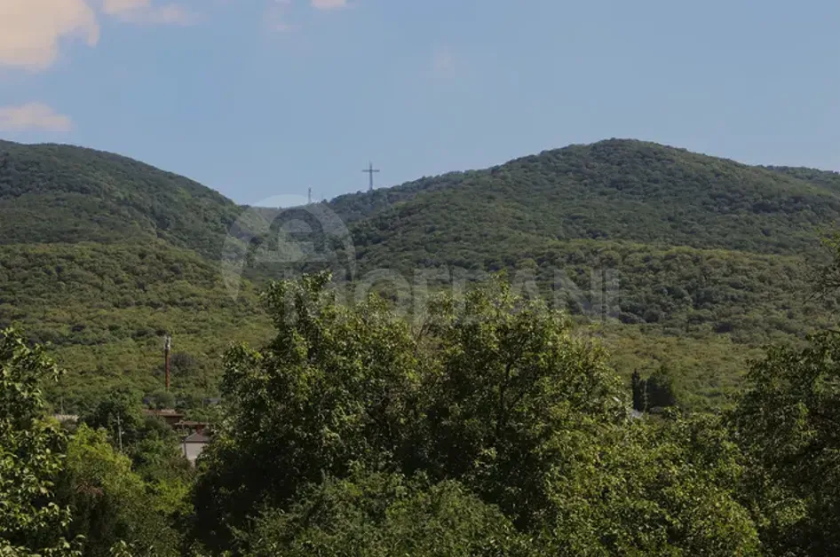 Short Term Rentals two-room 45m² 2/4 floor Tbilisi - photo 9