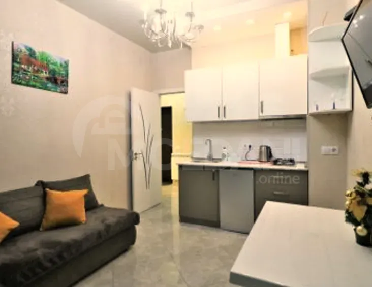 Сдам 2-комн. квартиру на сутки в Тбилиси  40м² 15/17 эт. Тбилиси - изображение 8