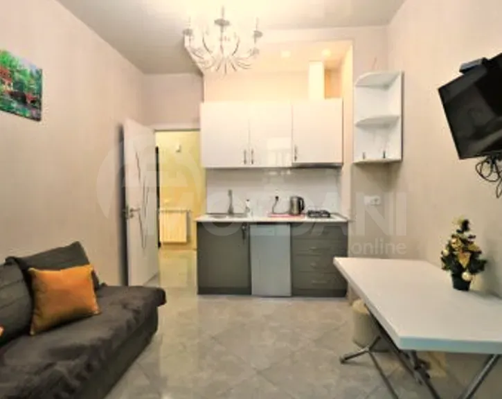 Сдам 2-комн. квартиру на сутки в Тбилиси  40м² 15/17 эт. Тбилиси - изображение 12