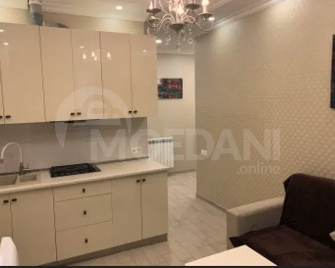 Сдам 2-комн. квартиру на сутки в Тбилиси  40м² 9/17 эт. Тбилиси - изображение 6