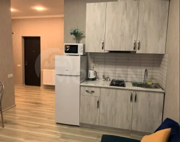 Сдам 2-комн. квартиру на сутки в Тбилиси  40м² 4/17 эт. Тбилиси - изображение 4