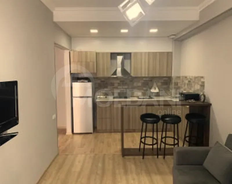 ქირავდება 2 ოთახიანი ბინა დღიურად თბილისში  50მ² 6/10 სართ თბილისი - photo 5