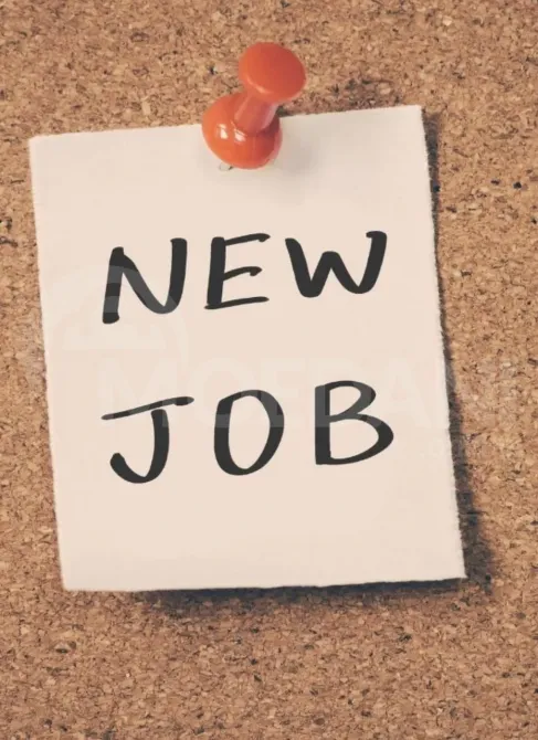 Გვესაჭიროება მშენებლობის მენეჯერი- რუსთავში თბილისი - photo 1