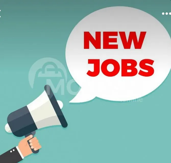 Vacancy for the position of Sales Manager Tbilisi - photo 1