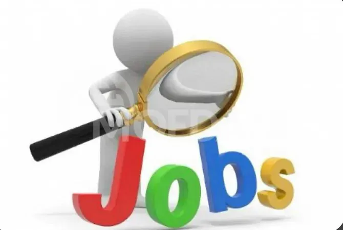 Вы претендуете на должность специалиста службы поддержки Тбилиси - изображение 1