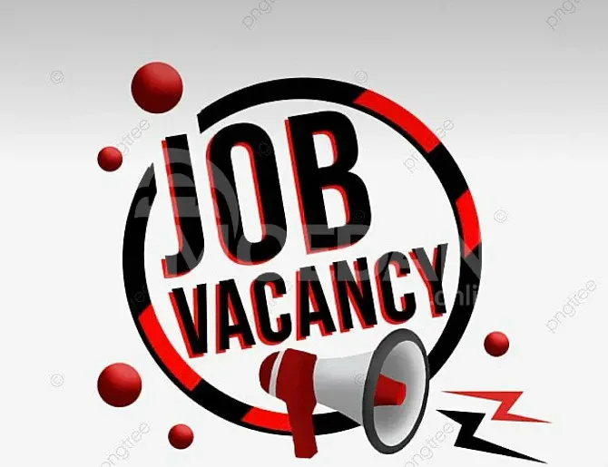 Vacancy for the position of car electrician Tbilisi - photo 1