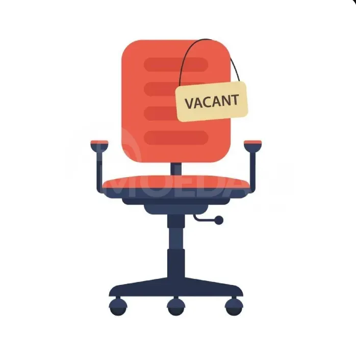 Vacancy for the position of Distribution Manager Tbilisi - photo 1