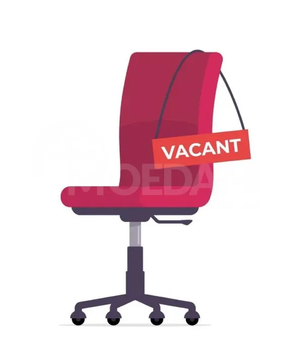 Vacancy for the position of Merchandiser Tbilisi - photo 1