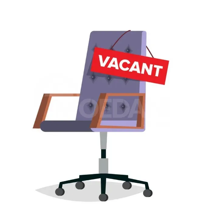 Ვაკანსია ვებ-დიზაინერის პოზიციაზე თბილისი - photo 1