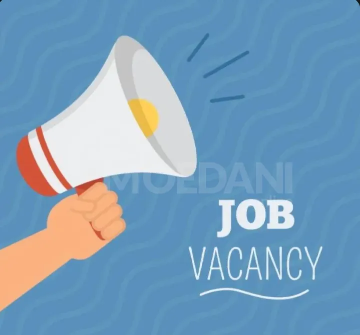 Vacancy for the position of Computer Literate Teacher Tbilisi - photo 1