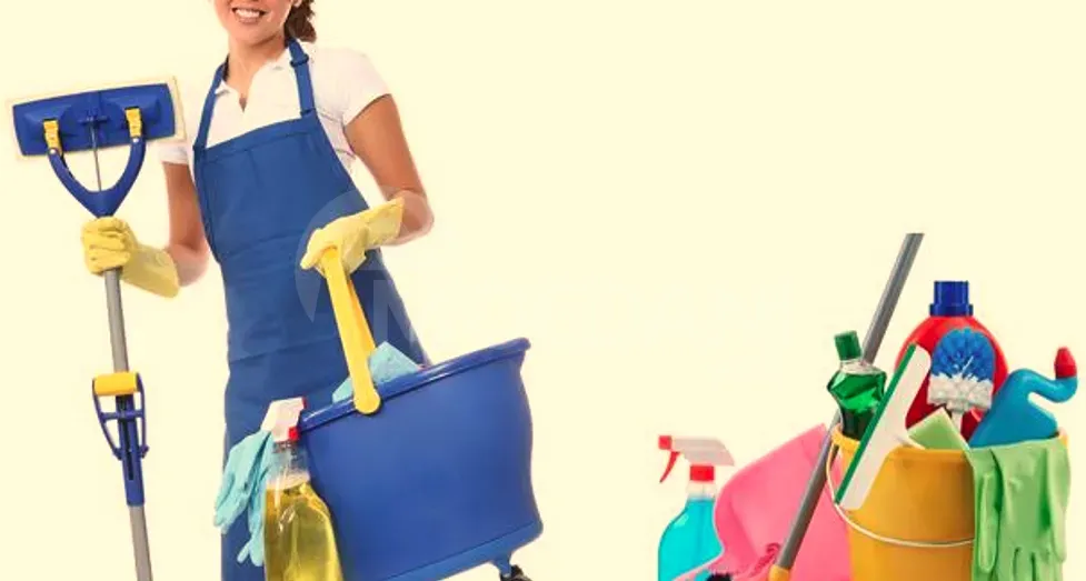 Ჭურჭლის მრეცხავი-დამლაგებელი თბილისი - photo 1