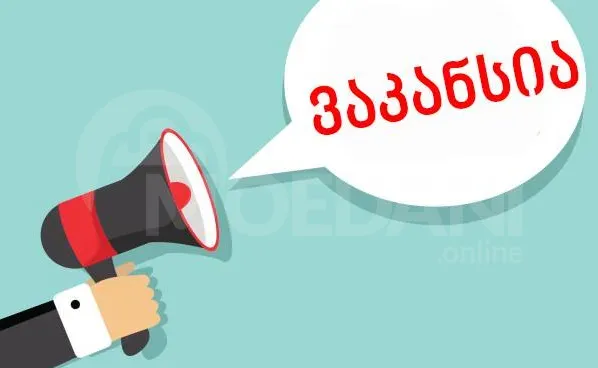 Consultant Tbilisi - photo 1