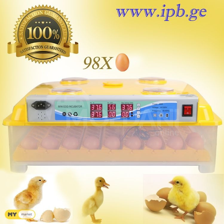 ინკუბატორი 98 inkubatori 98 ინკუპატორი inkupatori თბილისი - photo 1