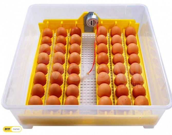 ინკუბატორი 48 inkubatori 48 ინკუპატორი inkupatori თბილისი - photo 2