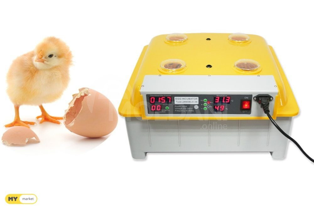 Incubator 48 incubatori 48 incubator inkupatori Tbilisi - photo 1