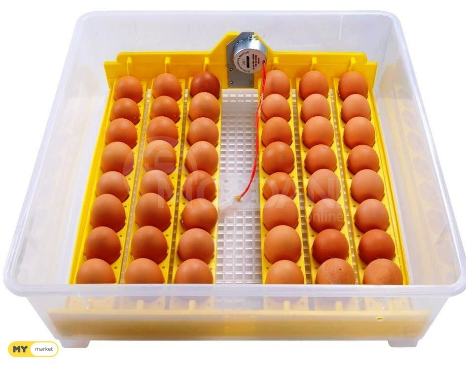 Incubator 48 incubatori 48 incubator inkupatori Tbilisi - photo 2