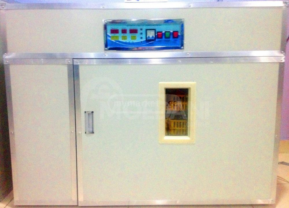 ინკუბატორი 528 თბილისი - photo 1