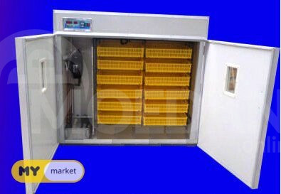 ინკუბატორი 1056 თბილისი - photo 1