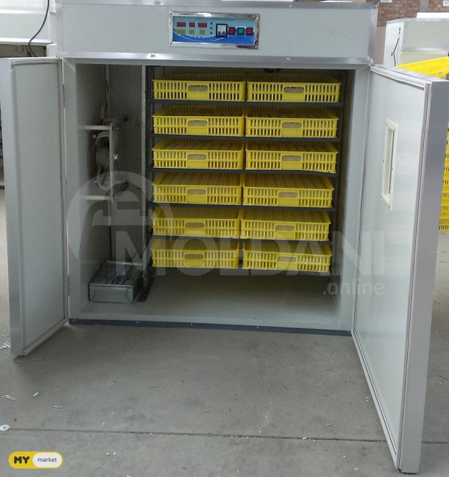 ინკუბატორი 1056 თბილისი - photo 2