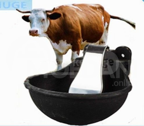 коровник Тбилиси - изображение 1