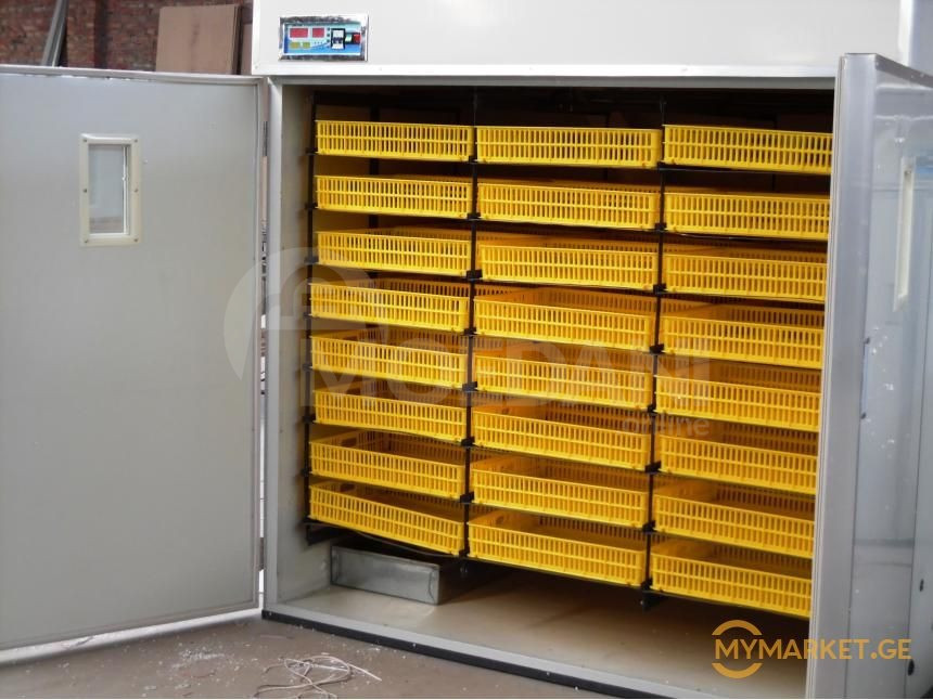 ინკუბატორი მოდელი 3168 inkubatori ინკუპატორი inkupatori თბილისი - photo 1