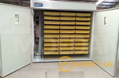 Инкубатор модель 5280 инкубатор Инкубатор инкубатор Тбилиси - изображение 1