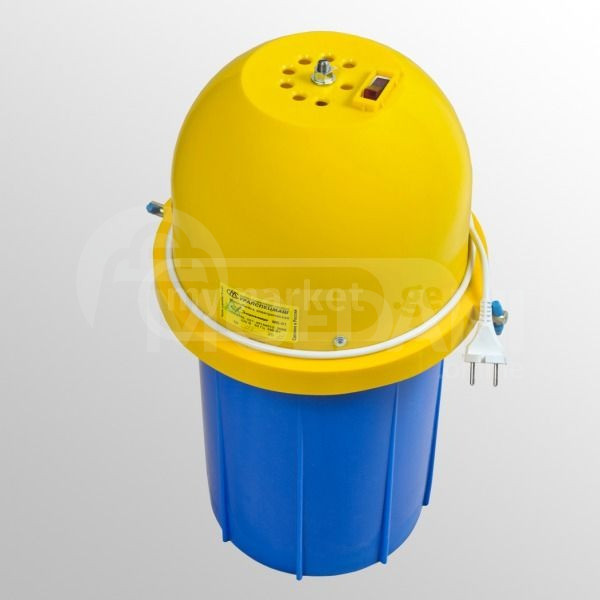 Масляные святыни Тбилиси - изображение 2