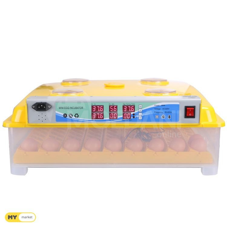 ინკუბატორი 98 inkubatori 98 ინკუპატორი inkupatori თბილისი - photo 2